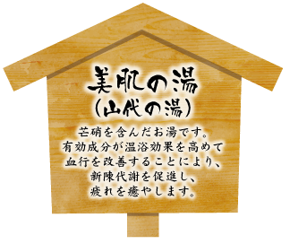 LinkIcon